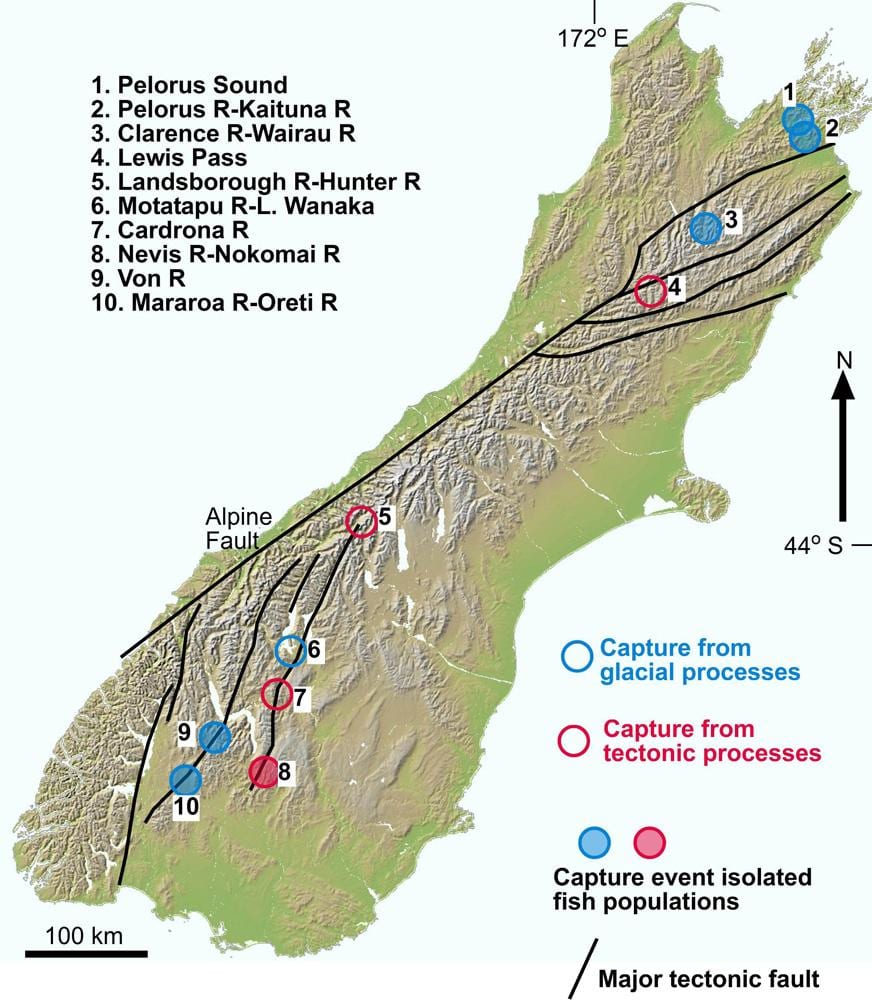 Mapa del desfiladero del río de nueva zelanda
