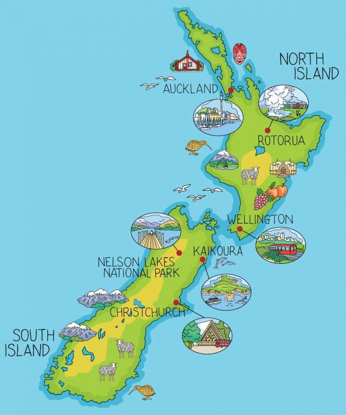 mapa de nueva zelanda de dibujos animados