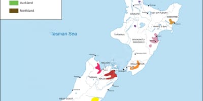 Nueva zelanda regiones vinícolas mapa